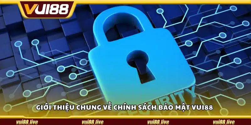 Giới thiệu chung về chính sách bảo mật Vui88